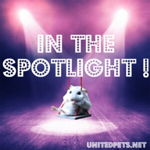 an in the spotlight gift